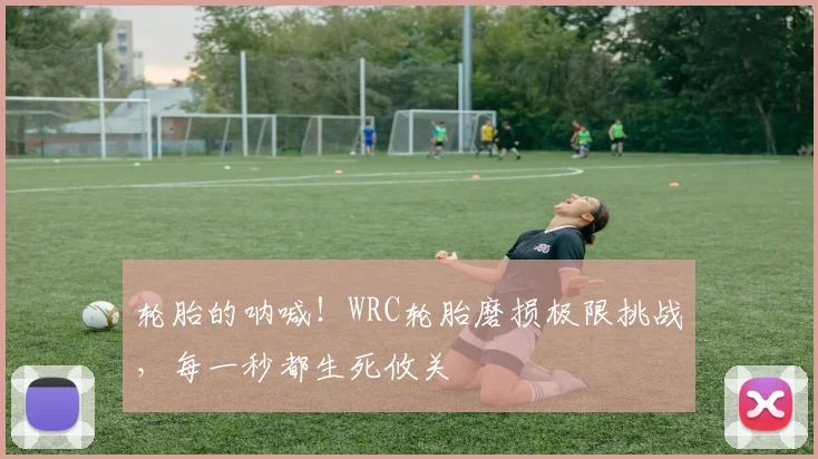 轮胎的呐喊！WRC轮胎磨损极限挑战，每一秒都生死攸关