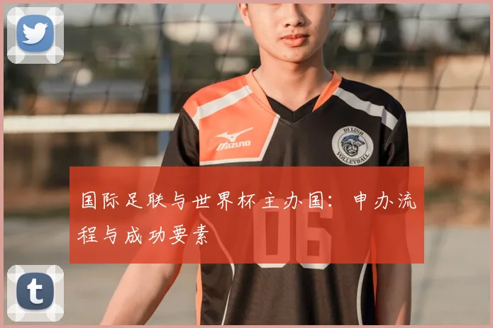 国际足联与世界杯主办国:申办流程与成功要素