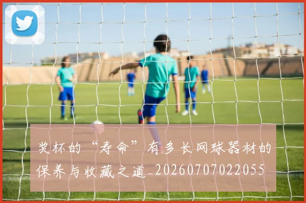 奖杯的“寿命”有多长网球器材的保养与收藏之道_20260707022055