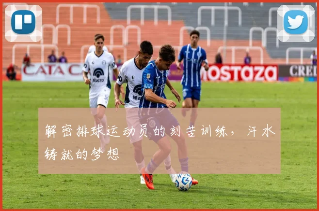解密排球运动员的刻苦训练,汗水铸就的梦想