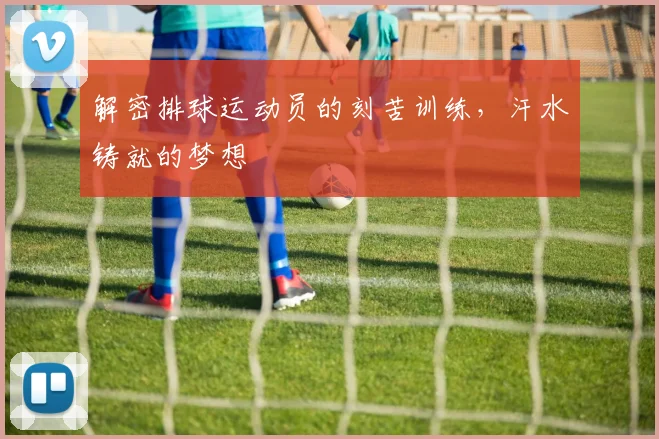 解密排球运动员的刻苦训练，汗水铸就的梦想